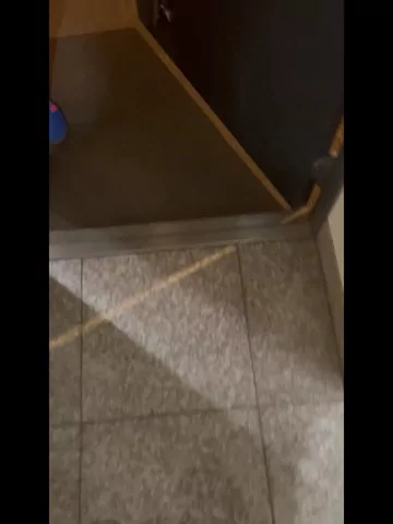 【体育連合会】ガチ体育会女子の裏側！（作り物じゃ意味がない！） 3000円2200円 シーン6（12:08）